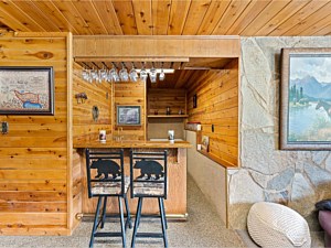 Basement Bar